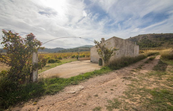 For Sale - Country land - Algueña - Abanilla