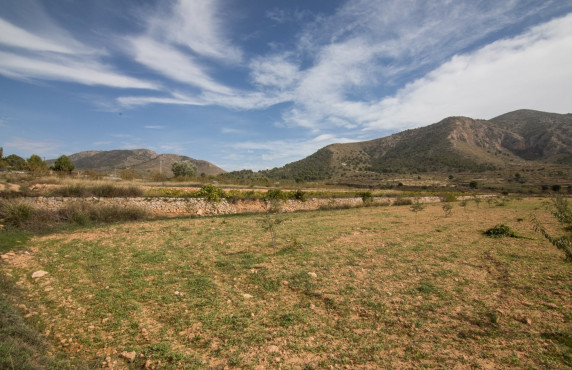 For Sale - Country land - Algueña - ALGUEÑA