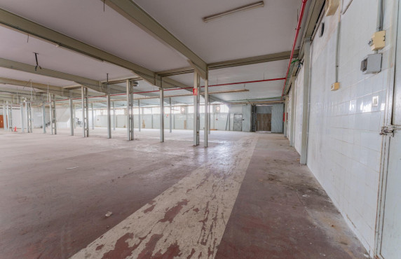 Venta - Industrial unit - Elche - Toscar