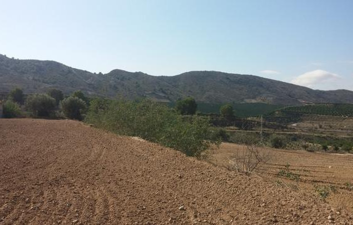 For Sale - Country land - Orihuela - Desamparados