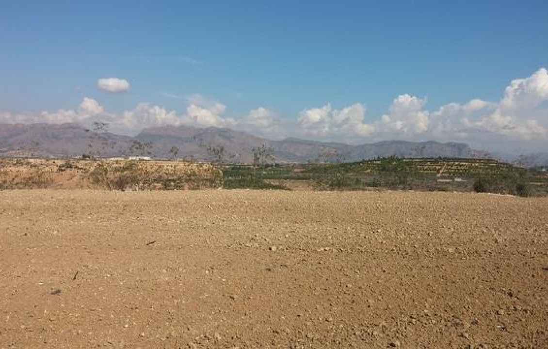 For Sale - Country land - Orihuela - Desamparados