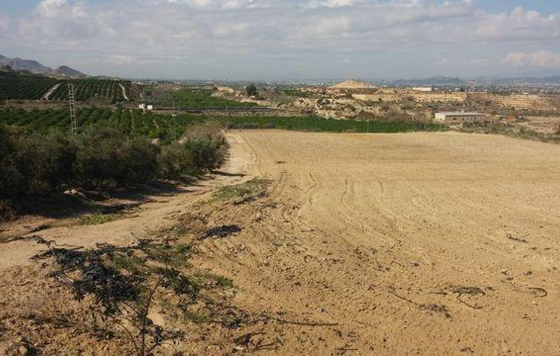 For Sale - Country land - Orihuela - Desamparados