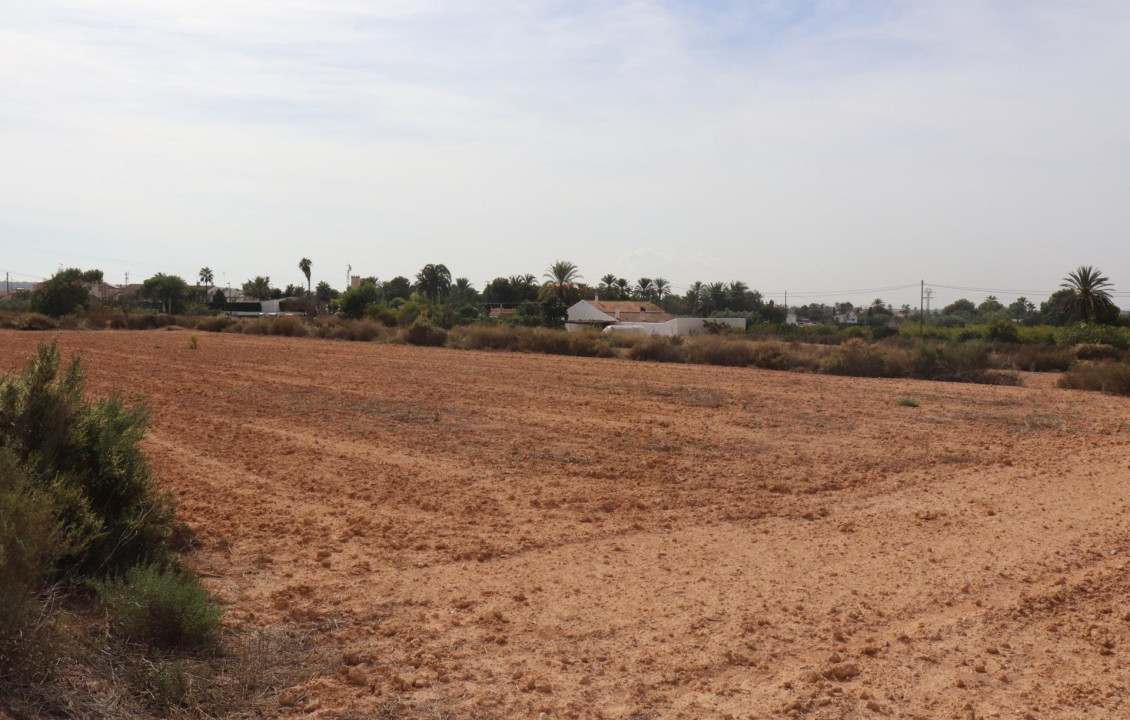 For Sale - Plot - Elche pedanias - balsares