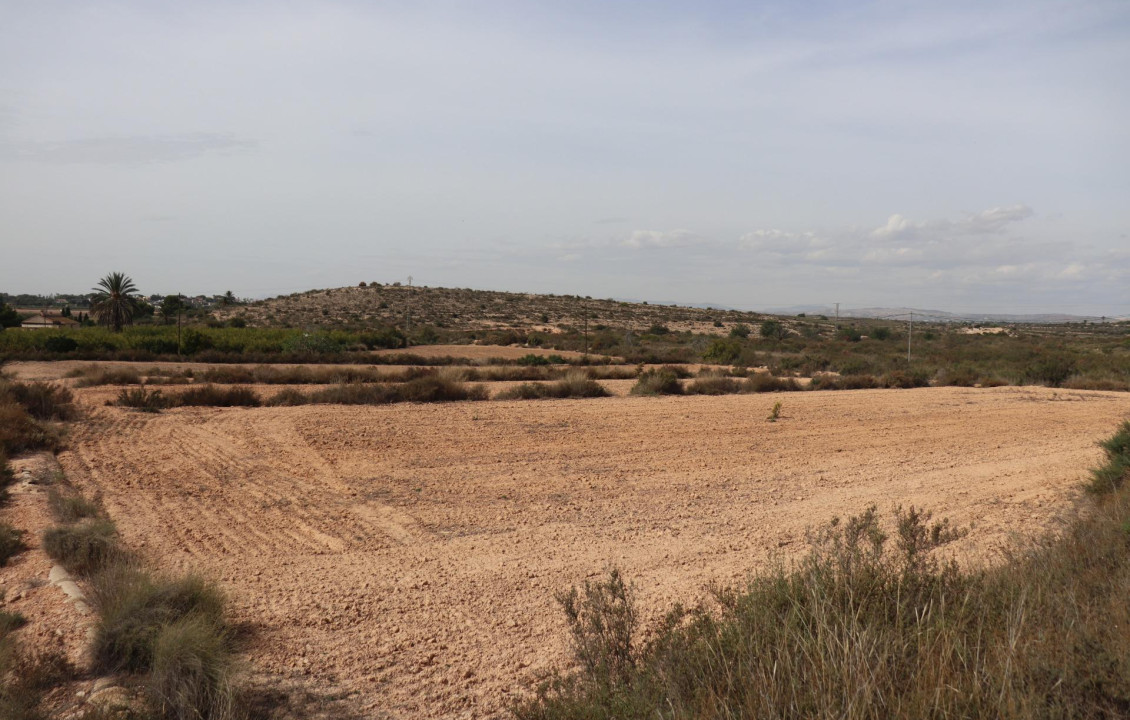 For Sale - Plot - Elche pedanias - balsares