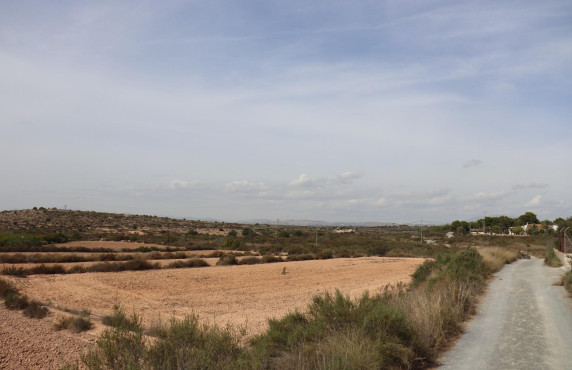 For Sale - Plot - Elche pedanias - balsares