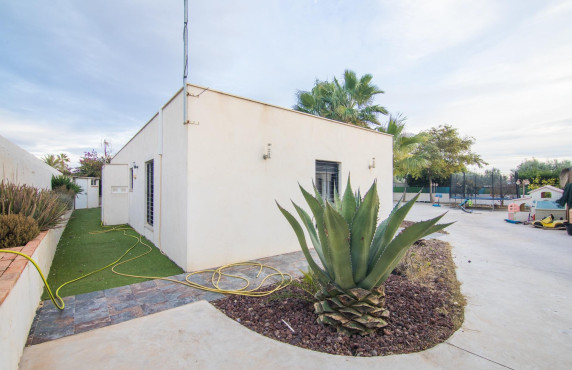 Venta - villa - Elche pedanias - Valverde