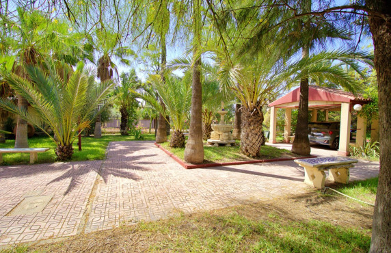 For Sale - villa - Elche pedanias - Peña las Aguilas