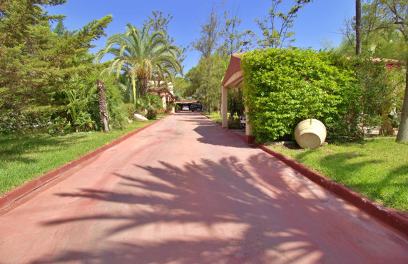 For Sale - villa - Elche pedanias - Peña las Aguilas