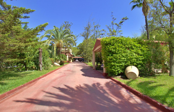 For Sale - villa - Elche pedanias - Peña las Aguilas