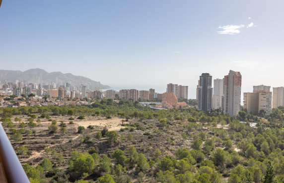 Venta - Apartamento - Benidorm - Poniente