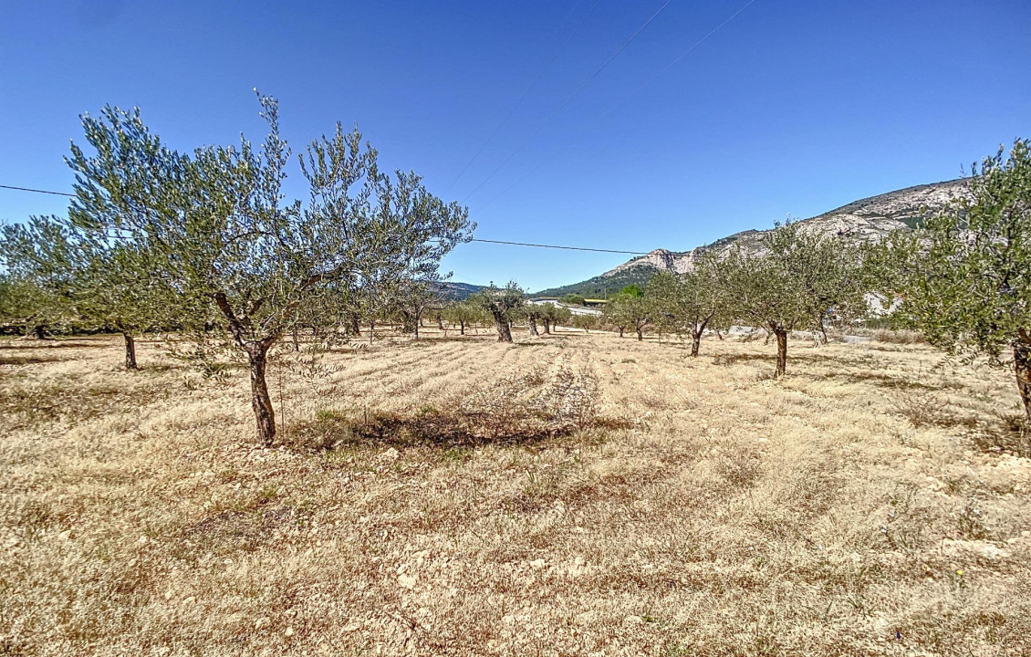 For Sale - Country land - Castalla - Comunidad valenciana