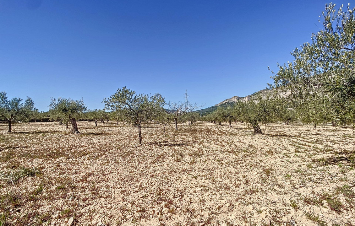 For Sale - Country land - Castalla - Comunidad valenciana