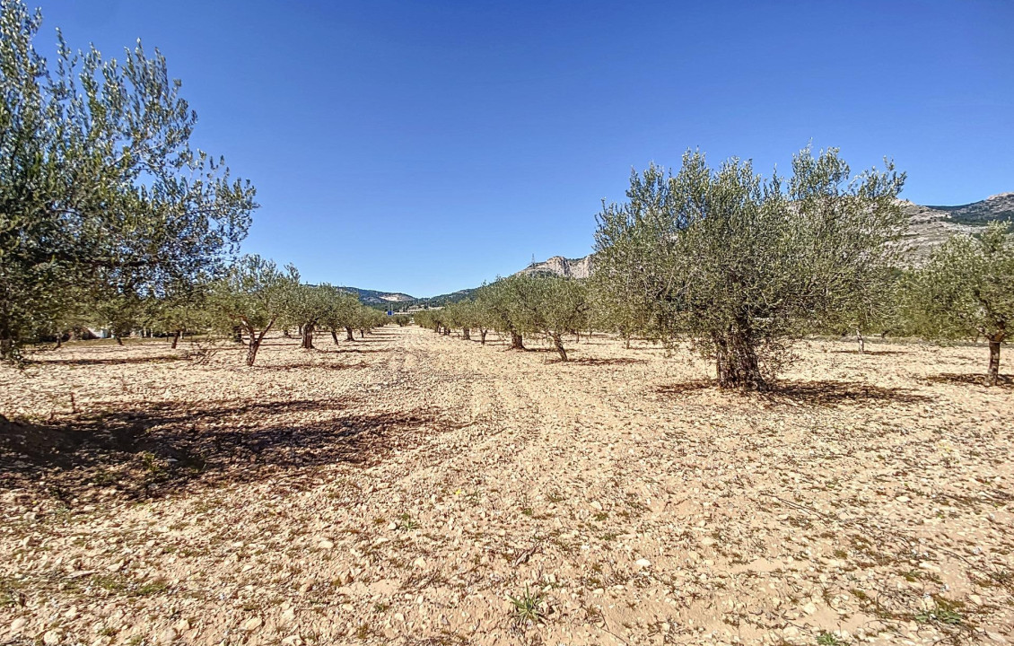 For Sale - Country land - Castalla - Comunidad valenciana