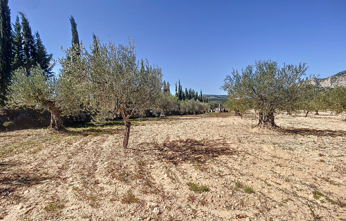 For Sale - Country land - Castalla - Comunidad valenciana