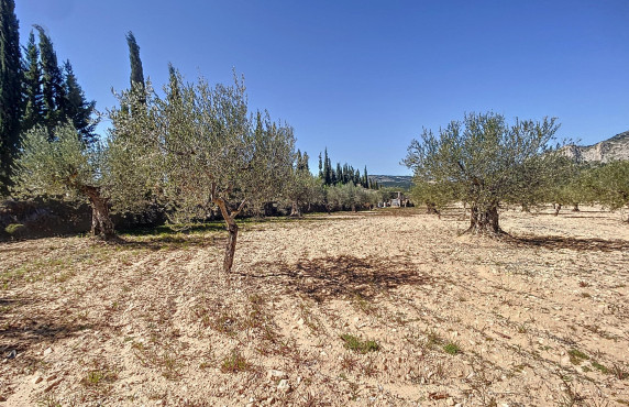 For Sale - Country land - Castalla - Comunidad valenciana