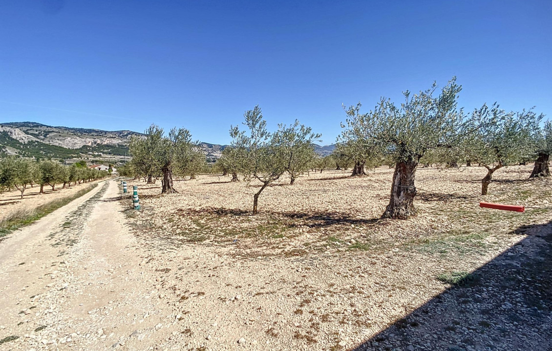 For Sale - Country land - Castalla - Comunidad valenciana