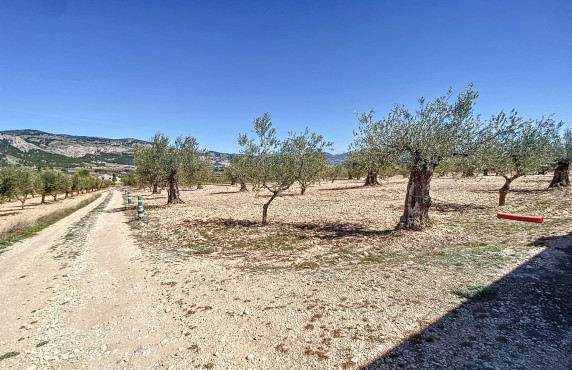 For Sale - Country land - Castalla - Comunidad valenciana