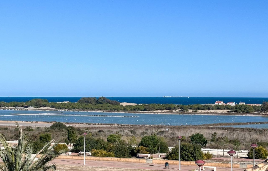 Venta - Piso - La marina - El pinet