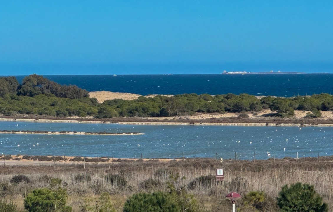 Venta - Piso - La marina - El pinet