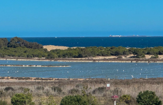 Venta - Piso - La marina - El pinet