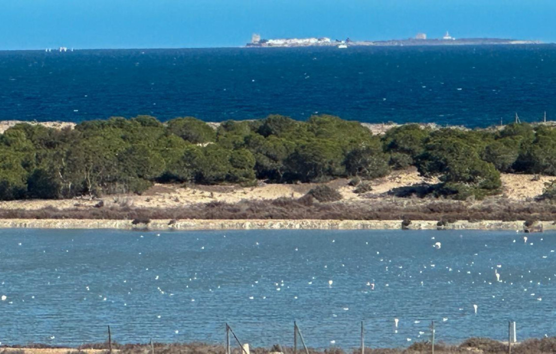 Venta - Piso - La marina - El pinet