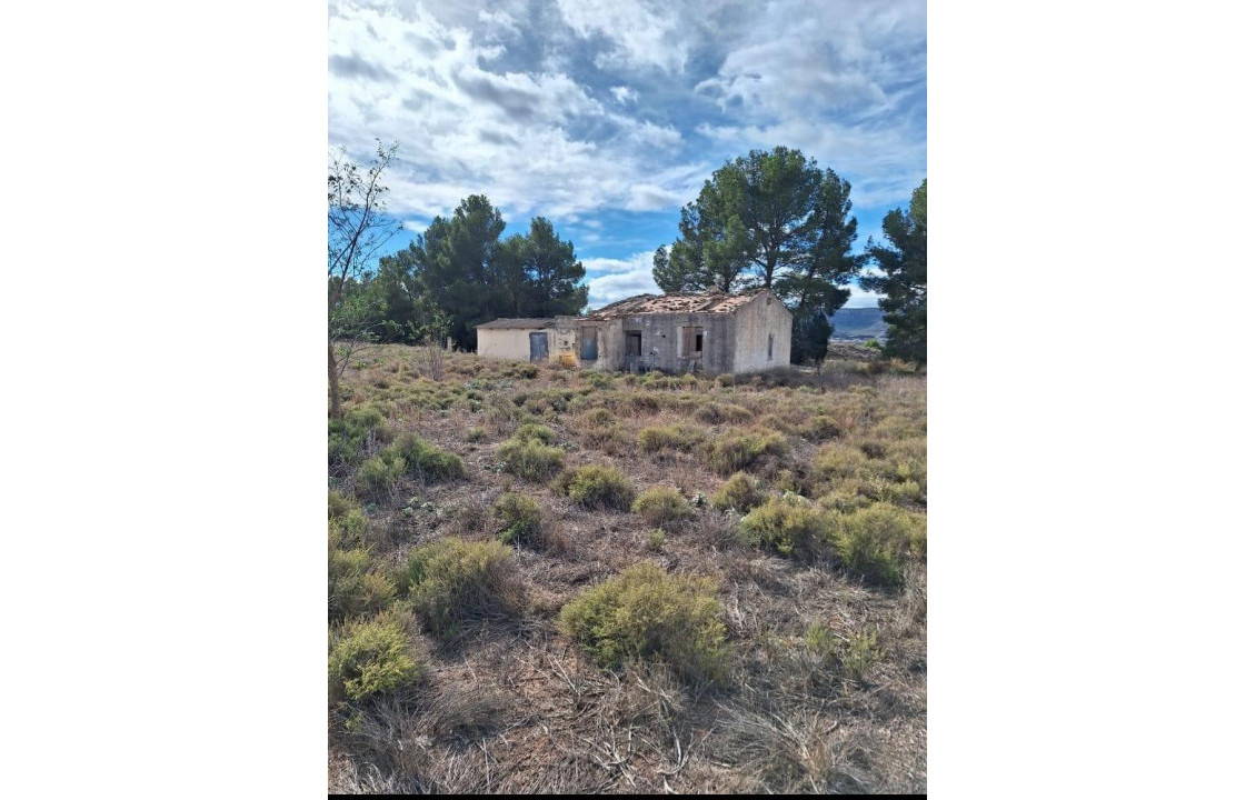 For Sale - Country land - Villena - Paseo chapí