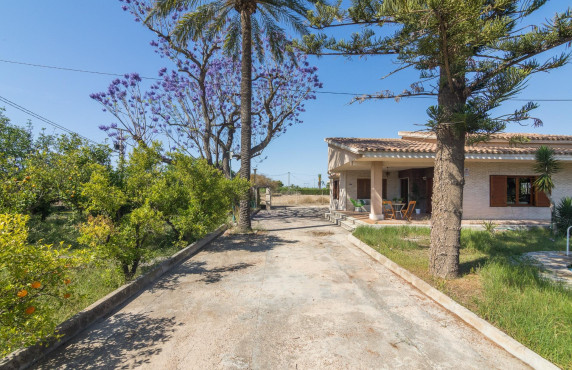 Venta - villa - Elche pedanias - Perleta