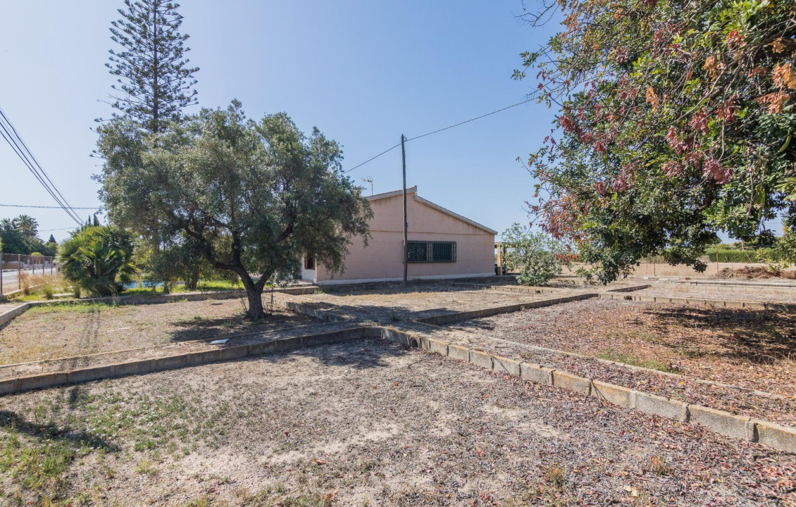 Venta - villa - Elche pedanias - Perleta