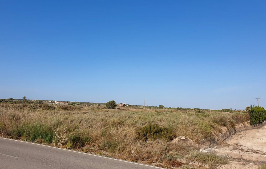 For Sale - Plot - La marina - Molar