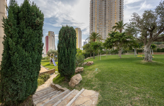 Venta - Piso - Benidorm - Via Parque