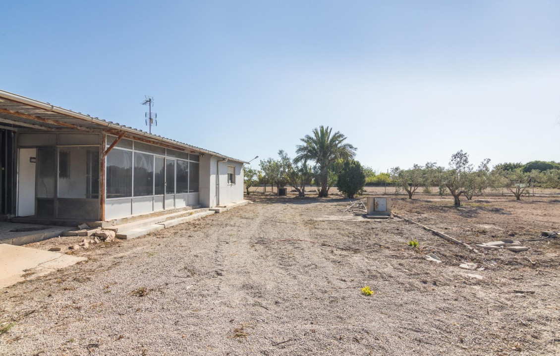 Venta - villa - Elche pedanias - xLas bayas