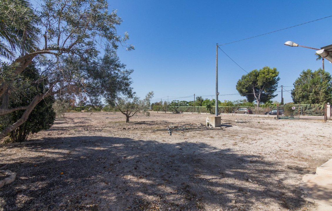 Venta - villa - Elche pedanias - xLas bayas