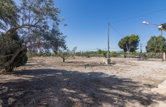 Venta - villa - Elche pedanias - xLas bayas