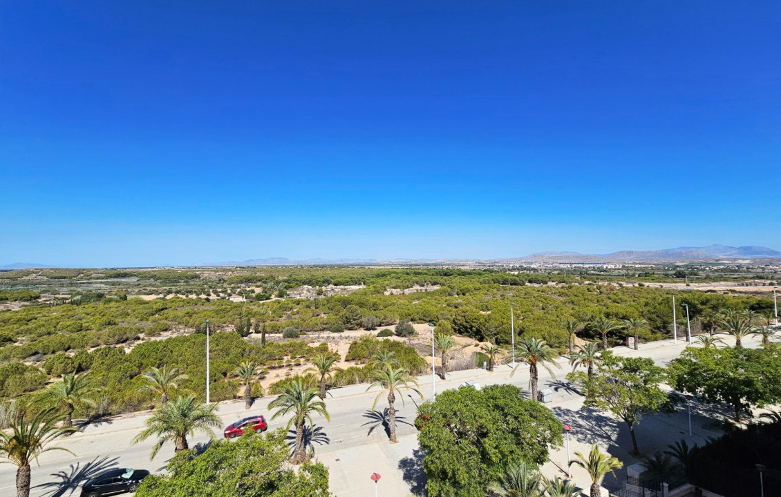 Venta - Piso - Arenales del sol - Arenales del Sol