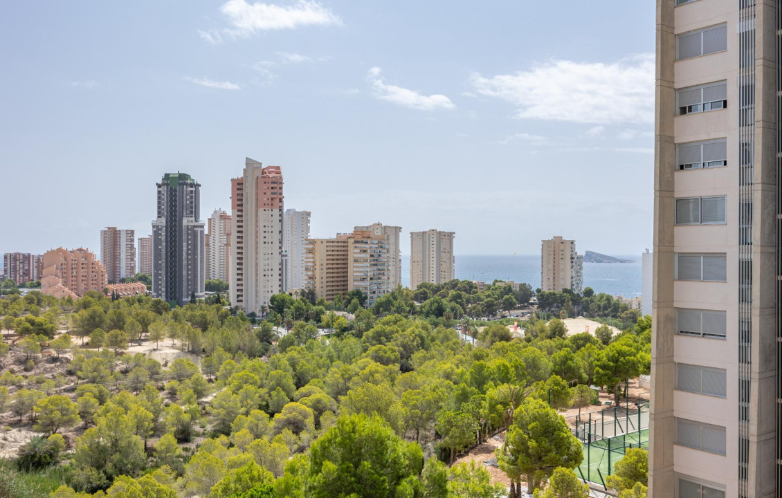 Venta - Piso - Benidorm - Poniente