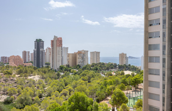 Venta - Piso - Benidorm - Poniente