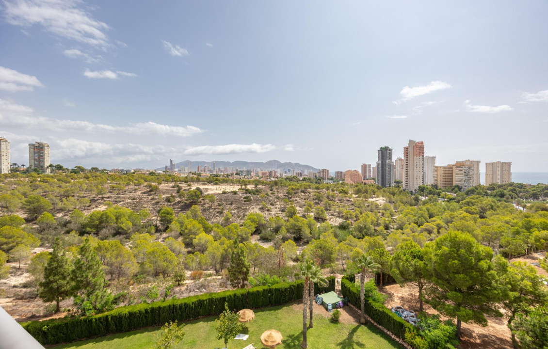 Venta - Piso - Benidorm - Poniente