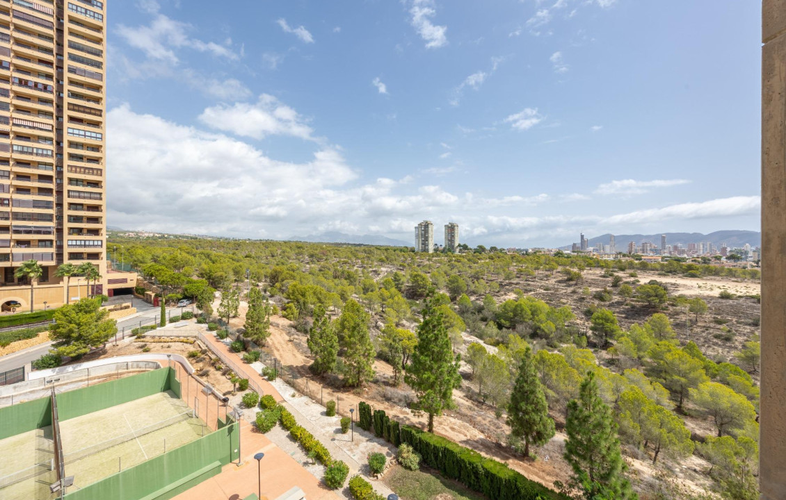 Venta - Piso - Benidorm - Poniente