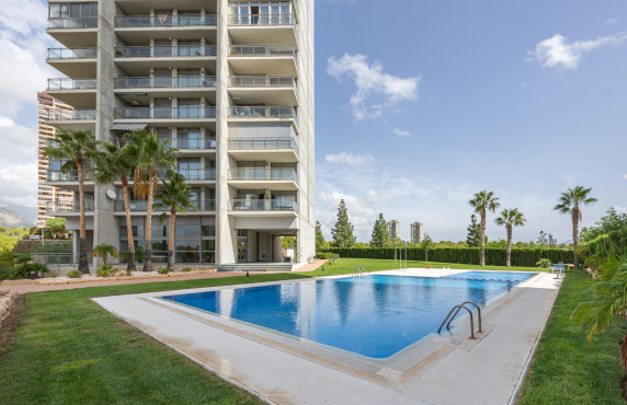 Venta - Piso - Benidorm - Poniente