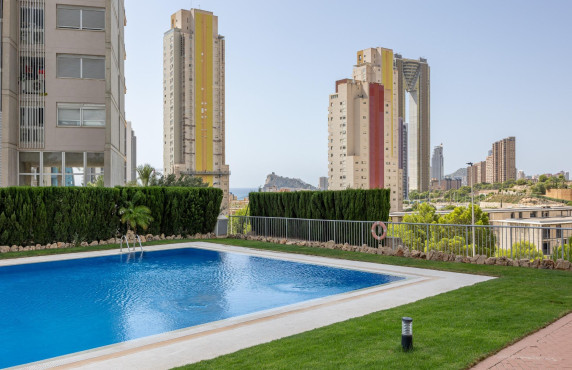 Venta - Piso - Benidorm - Poniente