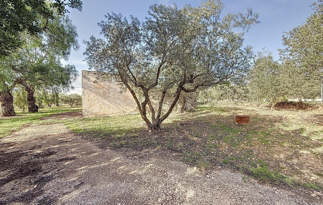 Venta - villa - Onil - La Lloma