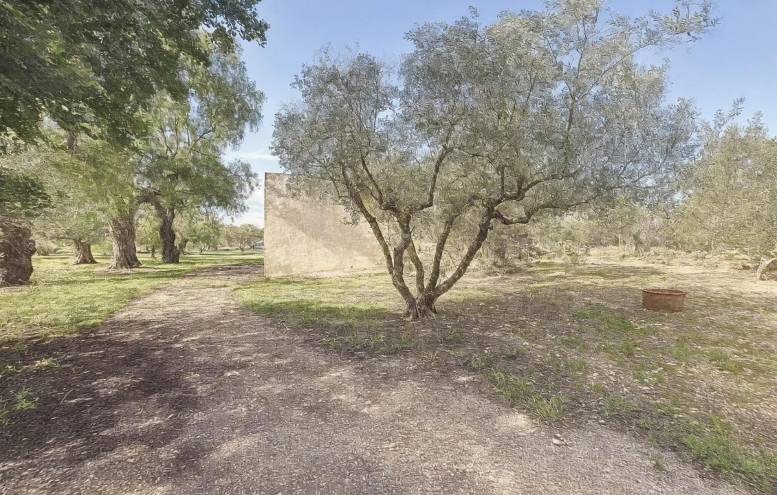 Venta - villa - Onil - La Lloma