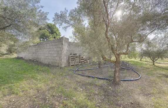 Venta - villa - Onil - La Lloma