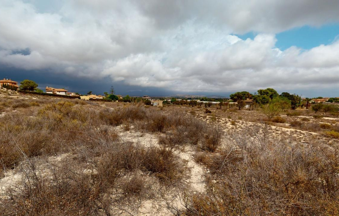 For Sale - Country land - Mutxamel