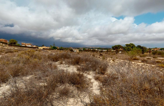 For Sale - Country land - Mutxamel
