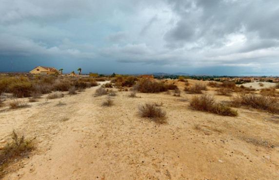 For Sale - Country land - Mutxamel
