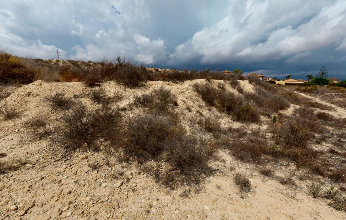 For Sale - Country land - Mutxamel