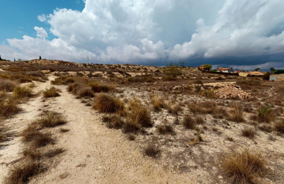 For Sale - Country land - Mutxamel