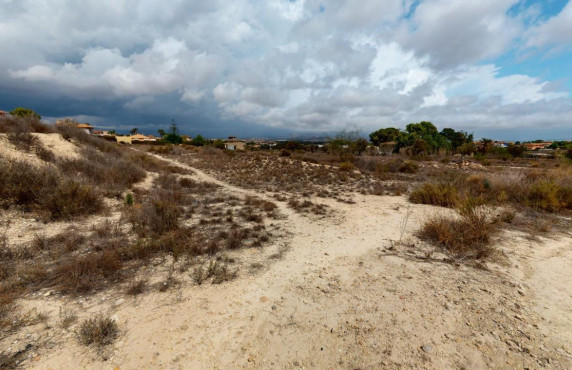 For Sale - Country land - Mutxamel