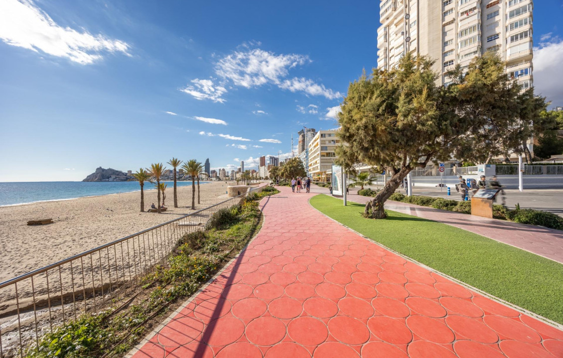 Venta - Apartamento - Benidorm - Playa de Poniente